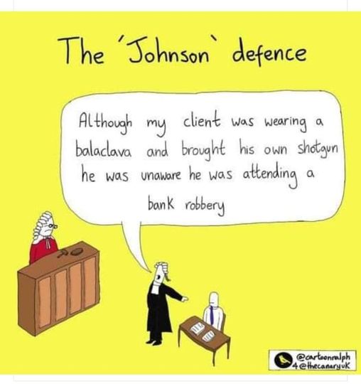 Johnson defence